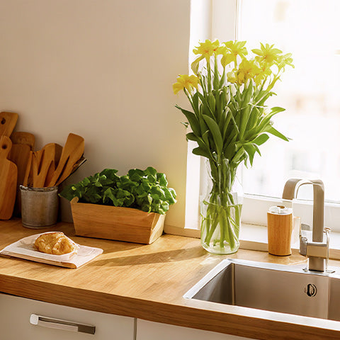 Kitchen Supplies