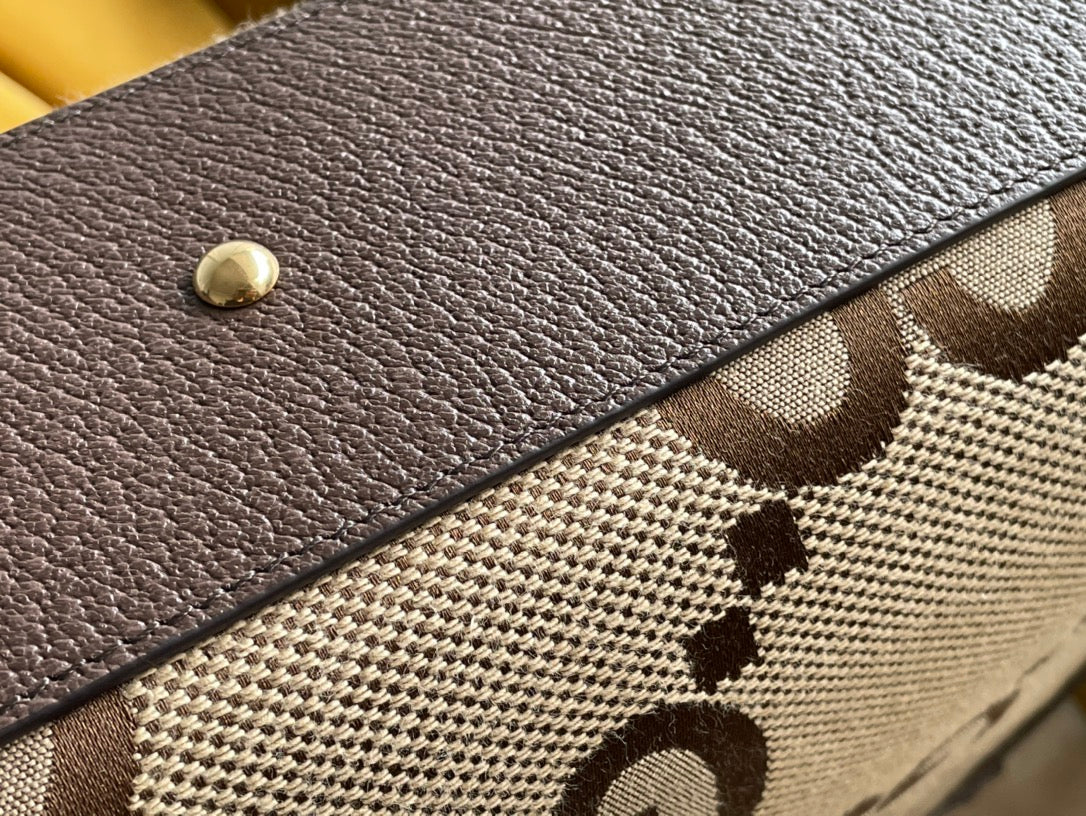 Gi DIANA 27 MINI TOTE BAG IN BEIGE CANVAS AND BROWN CALFSKIN