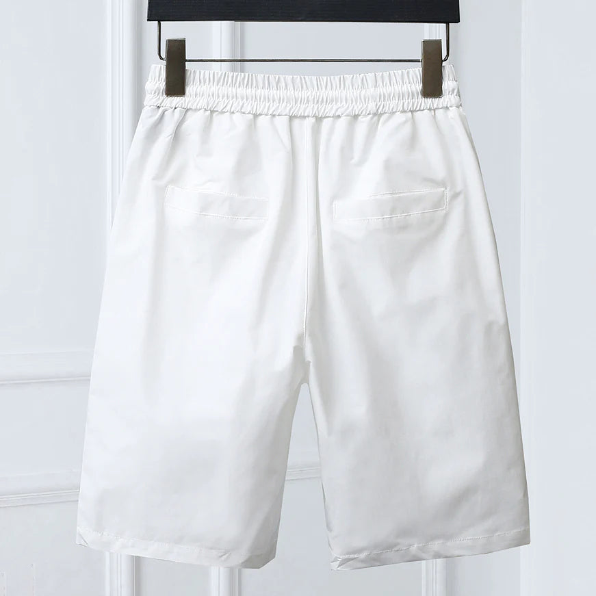 Luxury Classic Men's Casual Shorts 1025032405