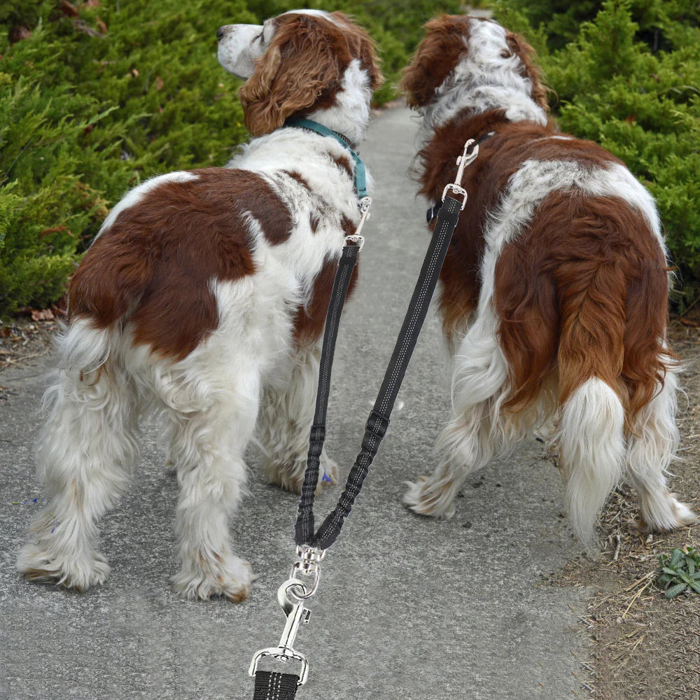 Double Dog Leash - Double Leash for Two Dogs No Tangle Design