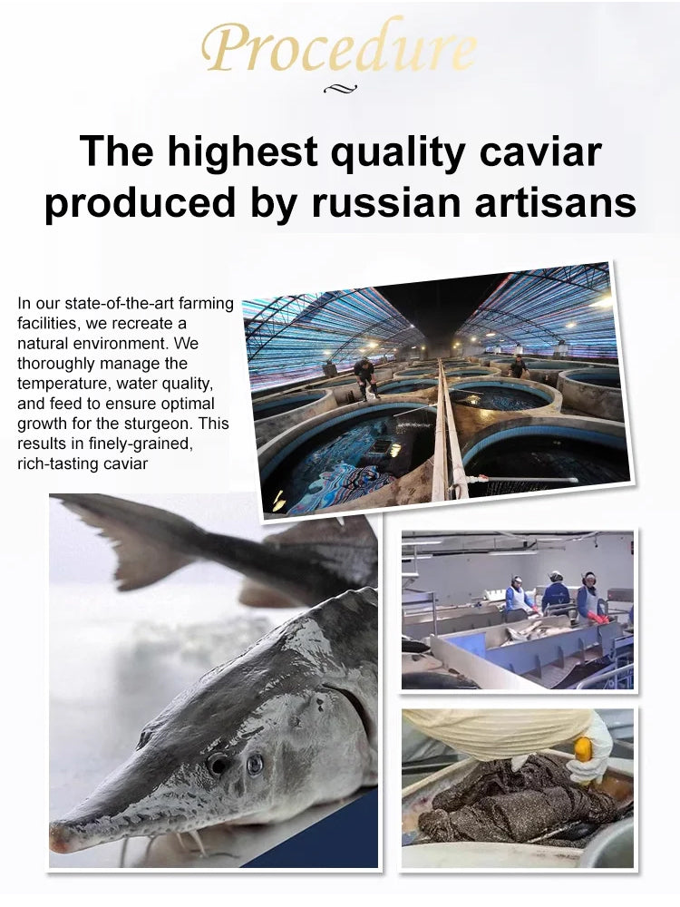 Unleash Gourmet Luxury: Discover Sturgeon Caviar Perfection!